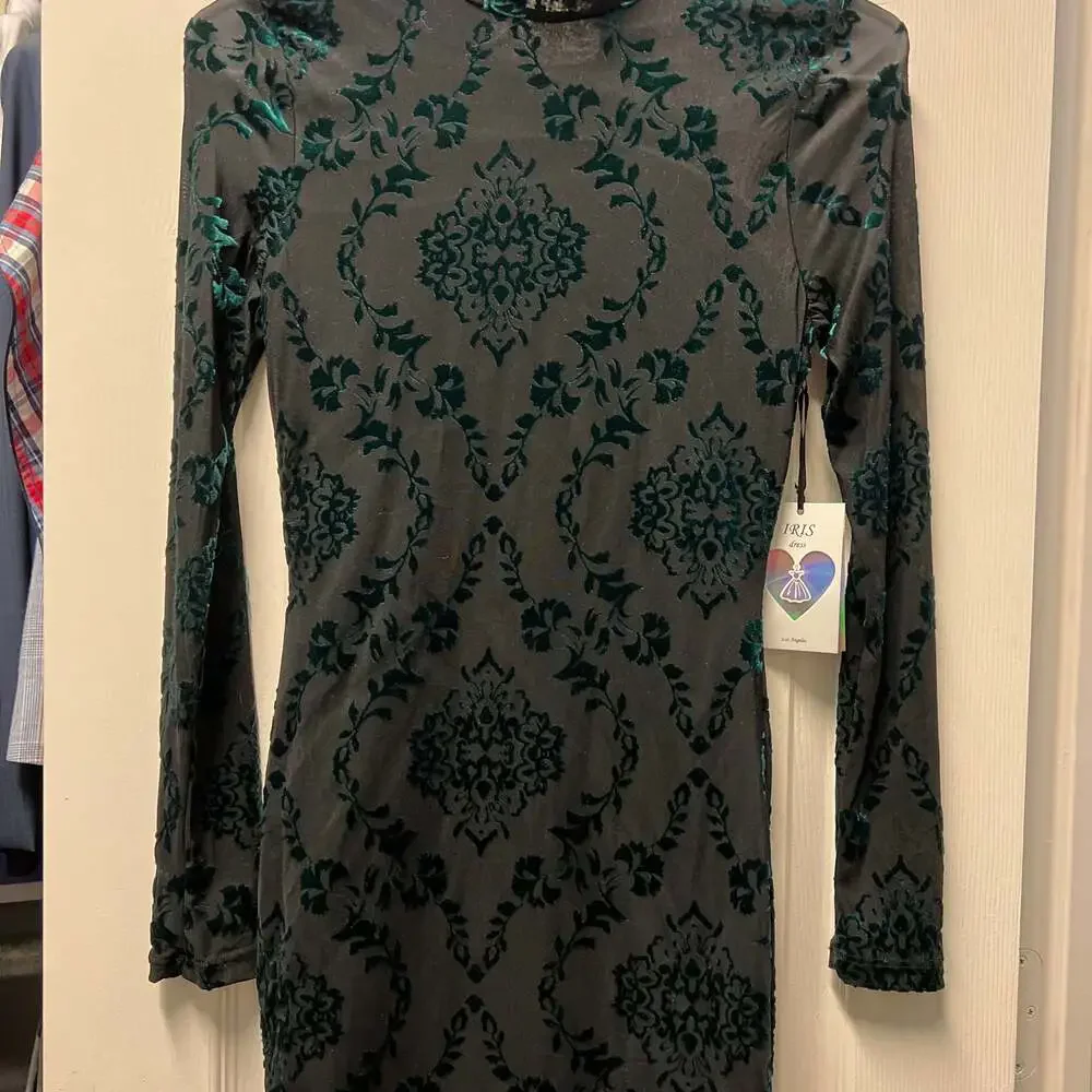 iris - Picture 4 of 4